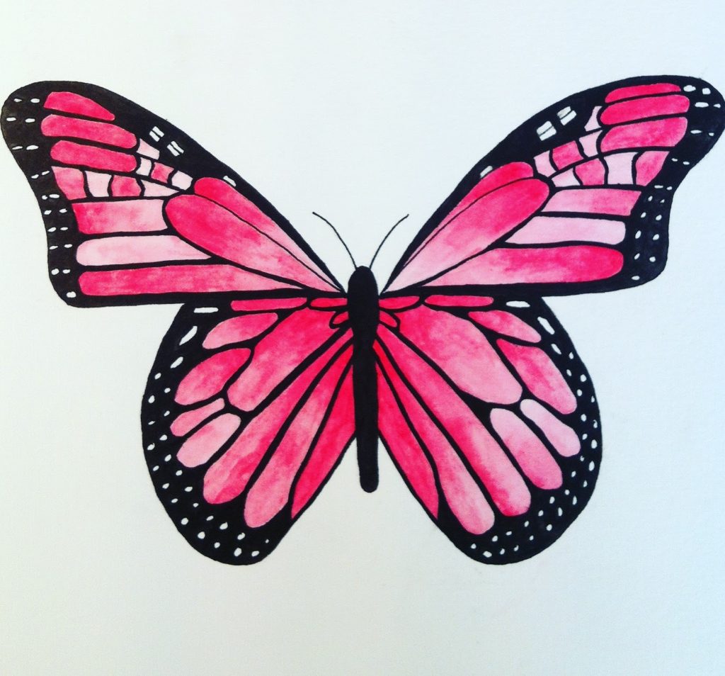 Fjäril i akvarell
